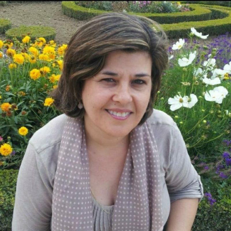 Screenshot_20231127-190610_WhatsApp - Maria Angelica Carbonieri